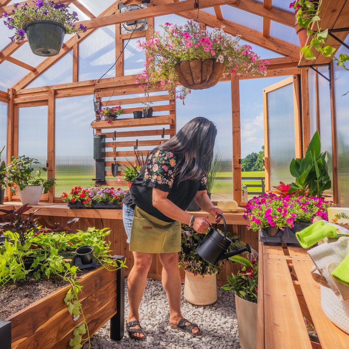 13x11 Bellerose XL Greenhouse