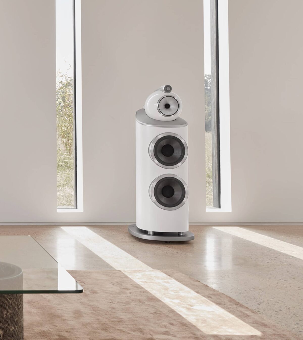Bowers & Wilkins 801 D4 (pair)