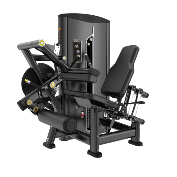 Leg Curl/ Extension
