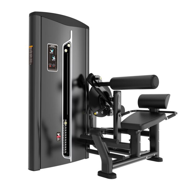 Abdominal Crunch/ Low Back