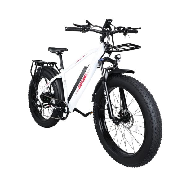 EBE5 Electric Bike
