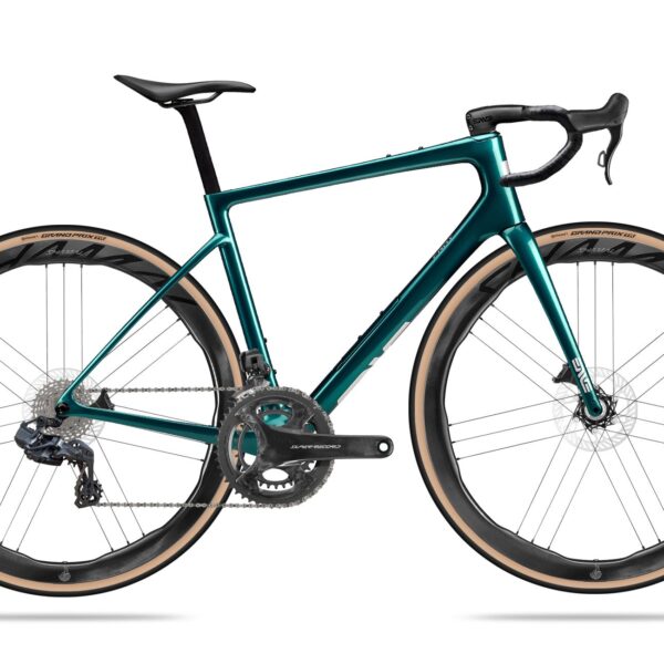 ENVE Fray Campagnolo Super Record WRL 13s Custom Bike