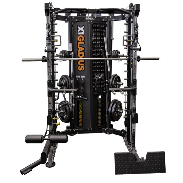 X1 Gladius All-In-One Trainer