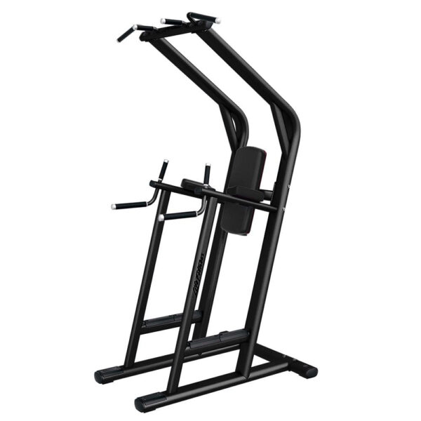 Life Fitness Chin/Dip/Leg Raise