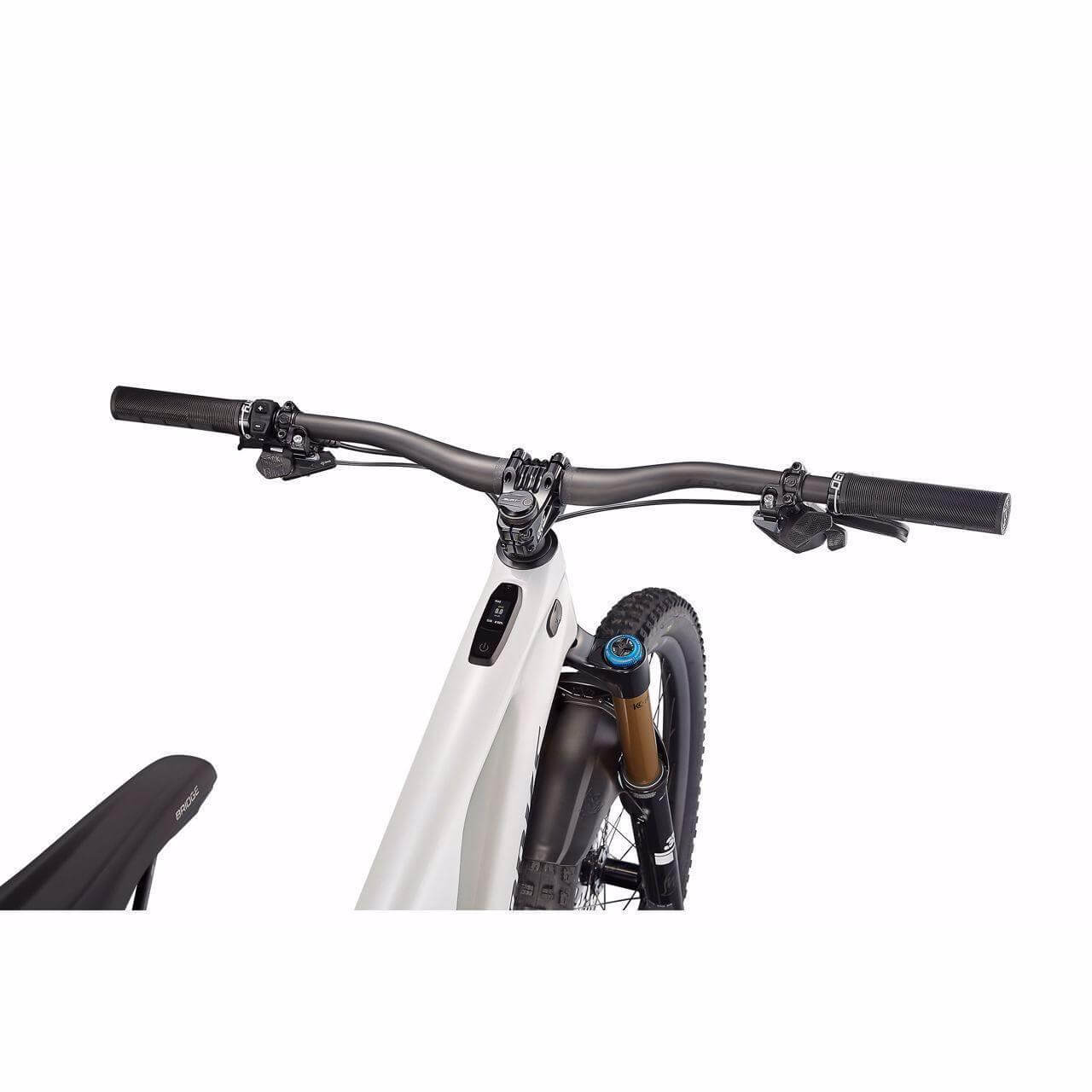 specialized-s-works-turbo-levo-strictly-bicycles-11