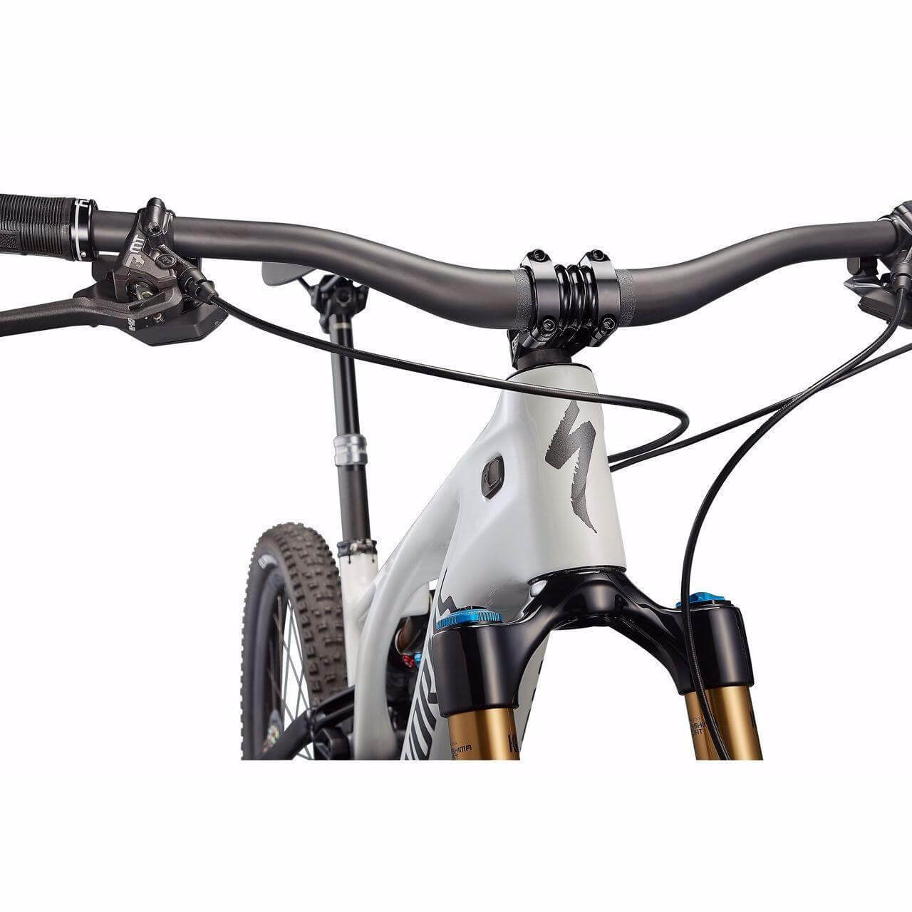 specialized-s-works-turbo-levo-strictly-bicycles-7_95ca00e2-f9b7-49dd-9c49-8cb38d3b00db