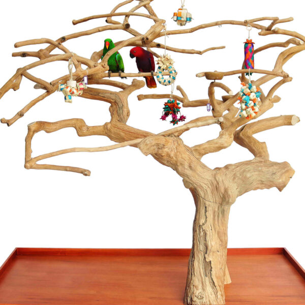 A&E Large Double Java Tree