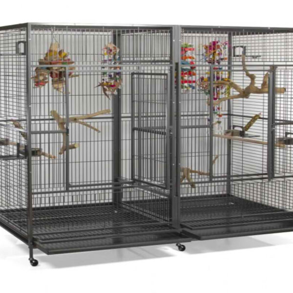 A&E 80"x40" Double Macaw Cage with Divider