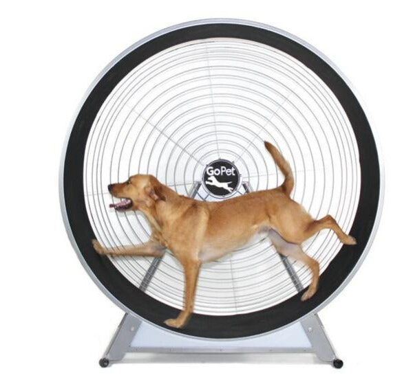 GoPet CG6020 Treadwheel for Large Dogs up to 150 lbs