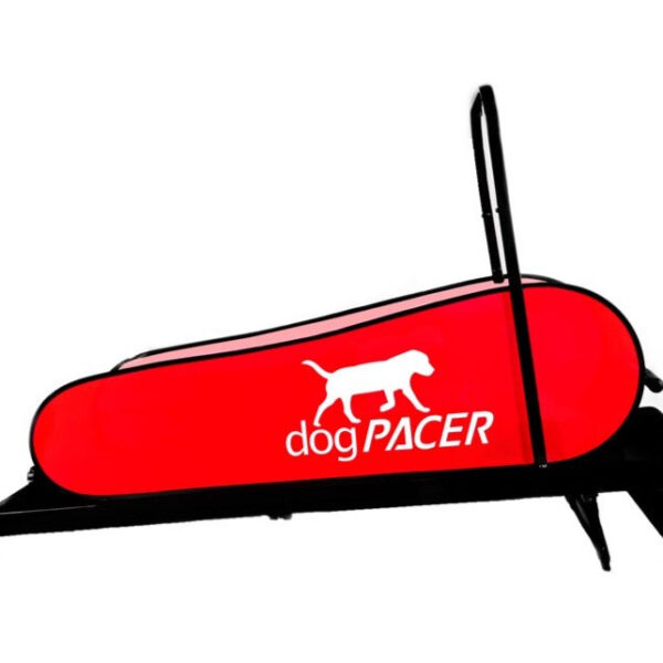 dogPACER LF 3.1 Electric Dog Treadmill