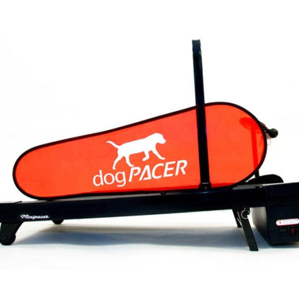 dogPACER Minipacer Electric Dog Treadmill