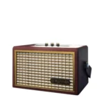 Fluminer L2 Dogecoin Miner