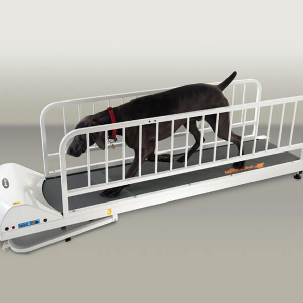 GoPet PetRun RP725 Treadmill for Large Dogs up to 176 lbs