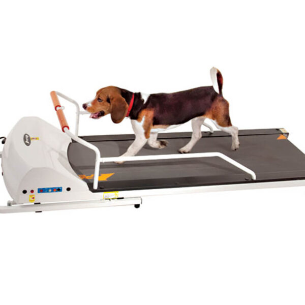GoPet PetRun RP720F Treadmill for Dogs up to 132 lbs