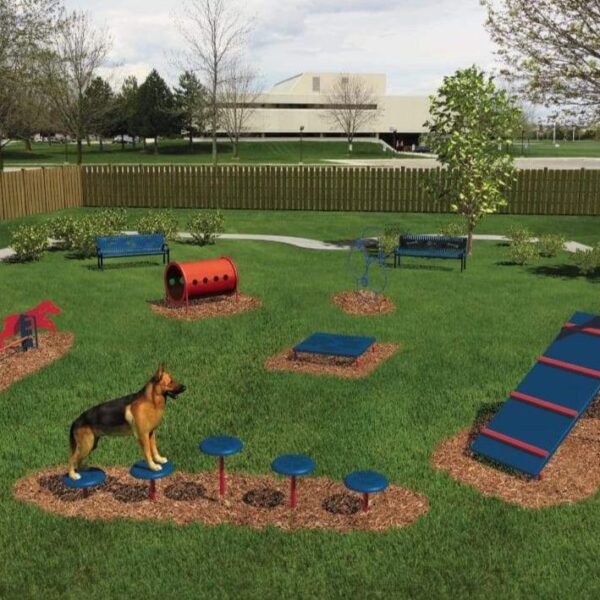 Intermediate Dog Exercise Course - 6 Activities